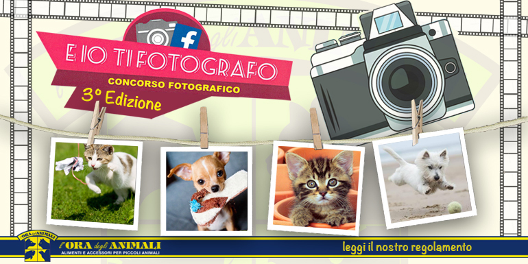E io ti fotografo III edizione